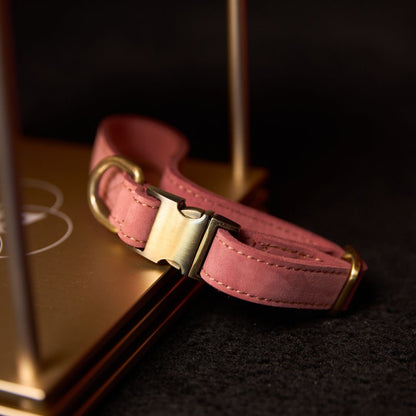 H.E.A.L.® Leather Collar for Dogs